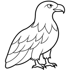 eagle vector illustration