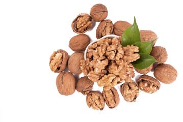 A White Bowl Filled with Shelled Walnuts