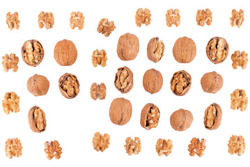 Pattern shelled walnuts in a row on white background