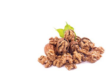 walnut and leaves