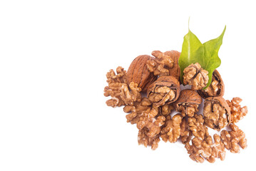 walnut and leaves