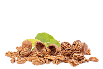 walnut and leaves