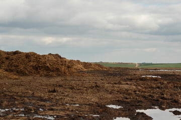 Manure is brought to the field. Beginning of sowing fields. Fertilizer for soil