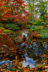 Garden Autumn Park Old Vintage Japanese Holland Netherlands The Hague