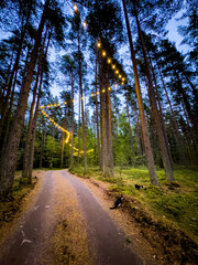 A serene forest path at dusk, where two cats wander along a trail lined with tall pine trees and adorned with warm string lights overhead. The gentle glow of the lights creates a magical atmosphere