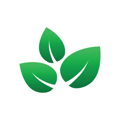 green leaf illustration gradient color icon vector 