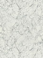 Obraz premium White Marble Texture Background: Seamless Pattern for Design