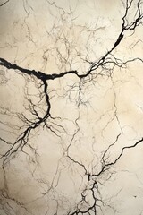 Fototapeta premium Cracked Earth: A Desert Landscape Photography