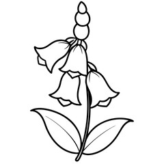 hand drawn foxglove flower