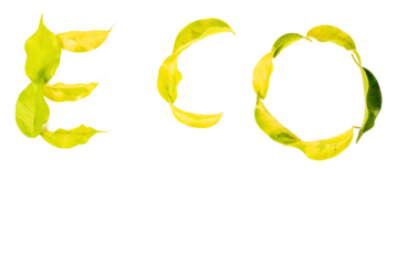 Ecology icons set. Ecology symbol collection. Nature icon. Eco green icons. Vector illustration