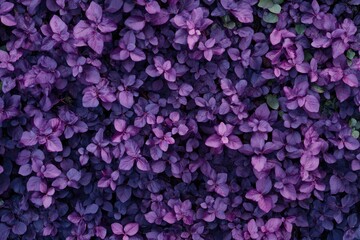 A close-up view of a vibrant purple flower arrangement