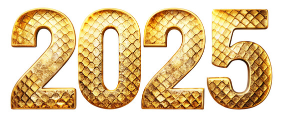 Golden 2025 Numbers with Scales Texture