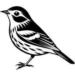 Wilson's Warbler silhouette vector illustration