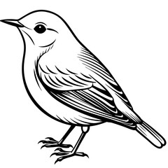 Wilson's Warbler silhouette vector illustration