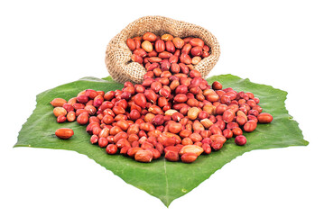 Peanuts plant food white background.Close-up of peanuts and nutshell isolated on white background.