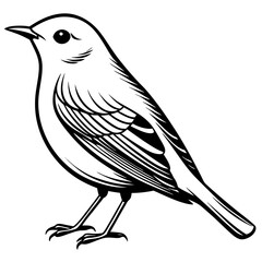 Wilson's Warbler silhouette vector illustration