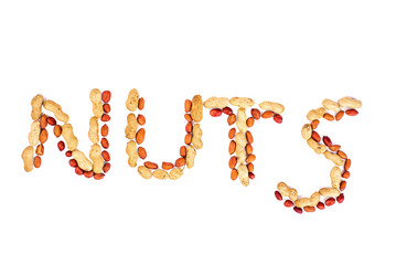 Peanuts plant food white background.Close-up of peanuts and nutshell isolated on white background.
