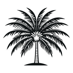 Obraz premium Silhuette Plam Tree Images And White Background