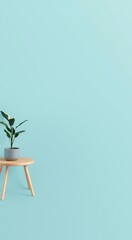 A potted plant on a wooden table in front of a blue wall.