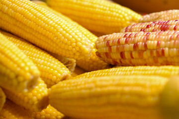 Boiled corn for sale in the market