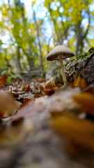 Enchanted Mushroom Forest Podium: A whimsical 3D render of a yellow podium nestled amongst a vibrant forest of mushrooms
