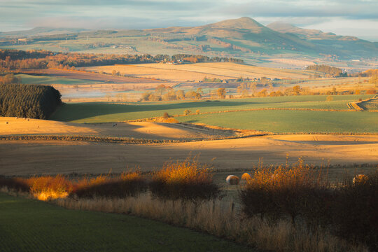 Golden autumn light over rolling farmland in Fife, Scotland, with hay bales and the misty peaks of the Lomond Hills in the background.