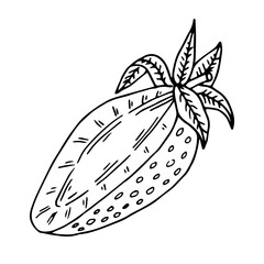 Slice Strawberry with leaves sketch