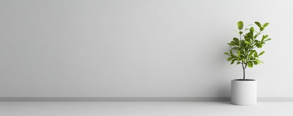 Obraz premium Monochrome Background: Emphasizing Minimalist Focus in Simple Elegance