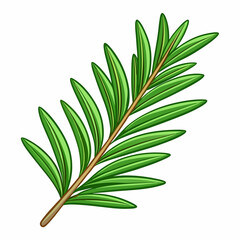 rosemary leaves