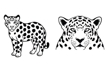 Vintage Tiger and Leopard Print Pattern Set – Hand-Drawn Safari Skin Illustrations