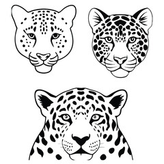 Vintage Tiger and Leopard Print Pattern Set – Hand-Drawn Safari Skin Illustrations
