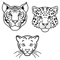 Vintage Tiger and Leopard Print Pattern Set – Hand-Drawn Safari Skin Illustrations