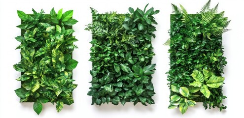 Naklejka premium Modern Green Wall Decor