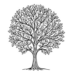 Obraz premium Vector tree illustration on transparent background