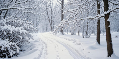 Obraz premium Serene Winter Wonderland in the Snowy Forest4