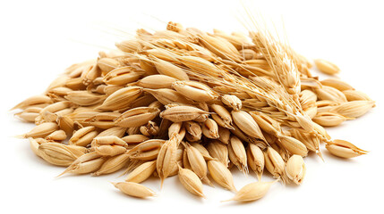 Obraz premium Barley Seeds isolated on pure white background