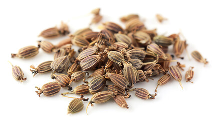 Obraz premium Bishops Weed Seeds isolated on pure white background