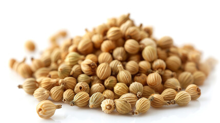 Fototapeta premium Coriander Seeds isolated on pure white background