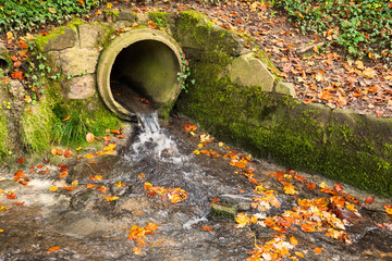 Rain water flowing out of a concrete drain pipe in a forest. Colorful autumn scene, small water stream, irrigation and forestry concept, no people