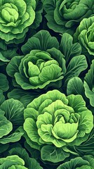 Obraz premium A background of lettuce in a vector drawing style. The pattern is a close-up view of vibrant green vegetables