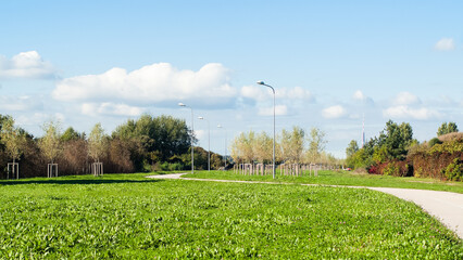 green park on the river bank in the background river and blue sky