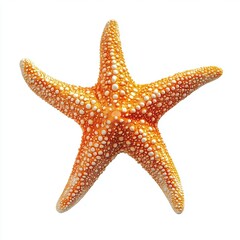 Light orange starfish in vivid colors, cut out isolated on white a background