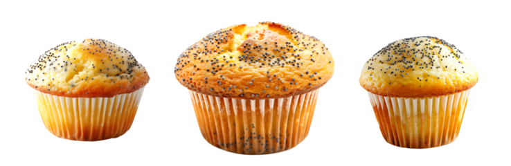 A freshly baked poppy seed muffin or cupcake isolated on white transparent background, topped sprinkled poppy seeds on top