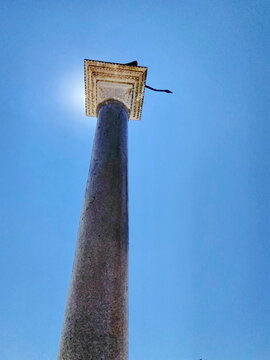 A resting lion atop the column of Saint Todaro in the rays of the bright summer sun near the Doge's Palace.