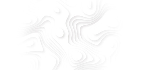 Abstract white paper cut art background design for website template or presentation template.3D rendering. White wave for artwork background.