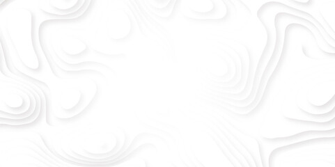 Abstract white paper cut art background design for website template or presentation template.3D rendering. White wave for artwork background. Vector design