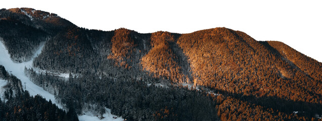 Panoramic Mountains with snow and forest isolated on white background	
