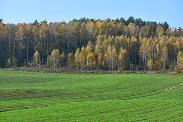 Fototapeta premium Autumn landscapes in Warmia Poland