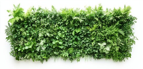 Obraz premium Vibrant Green Living Wall