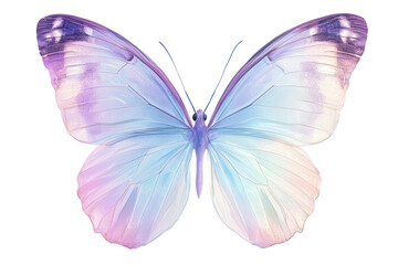 A vibrant butterfly with pastel-colored wings, showcasing a gradient of purple and blue hues, symbolizing beauty and transformation.